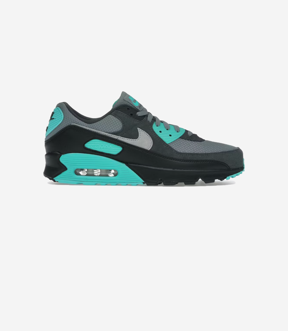 Nike Air Max 90 Cool Gray Dusty Cactus Black Wolf Gray