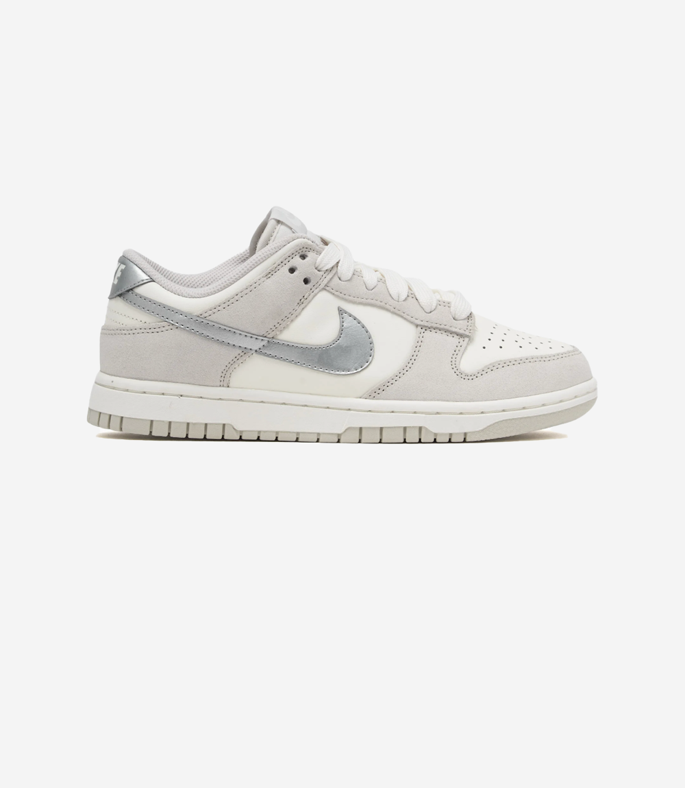 Nike Dunk Low Silver Swoosh
