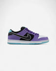 Nike SB Dunk Low Hayley Wilson
