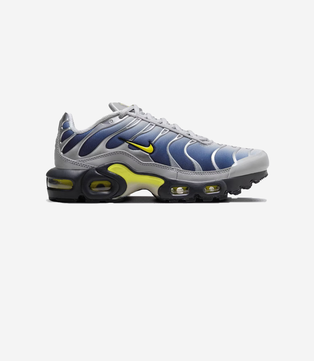Nike Air Max Plus Obsidian Silver (GS)
