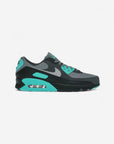 Nike Air Max 90 Cool Grey Dusty Cactus Black Wolf Grey
