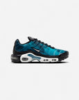 Nike Air Max Plus Dot Pattern Black Dusty Cactus (Women's)