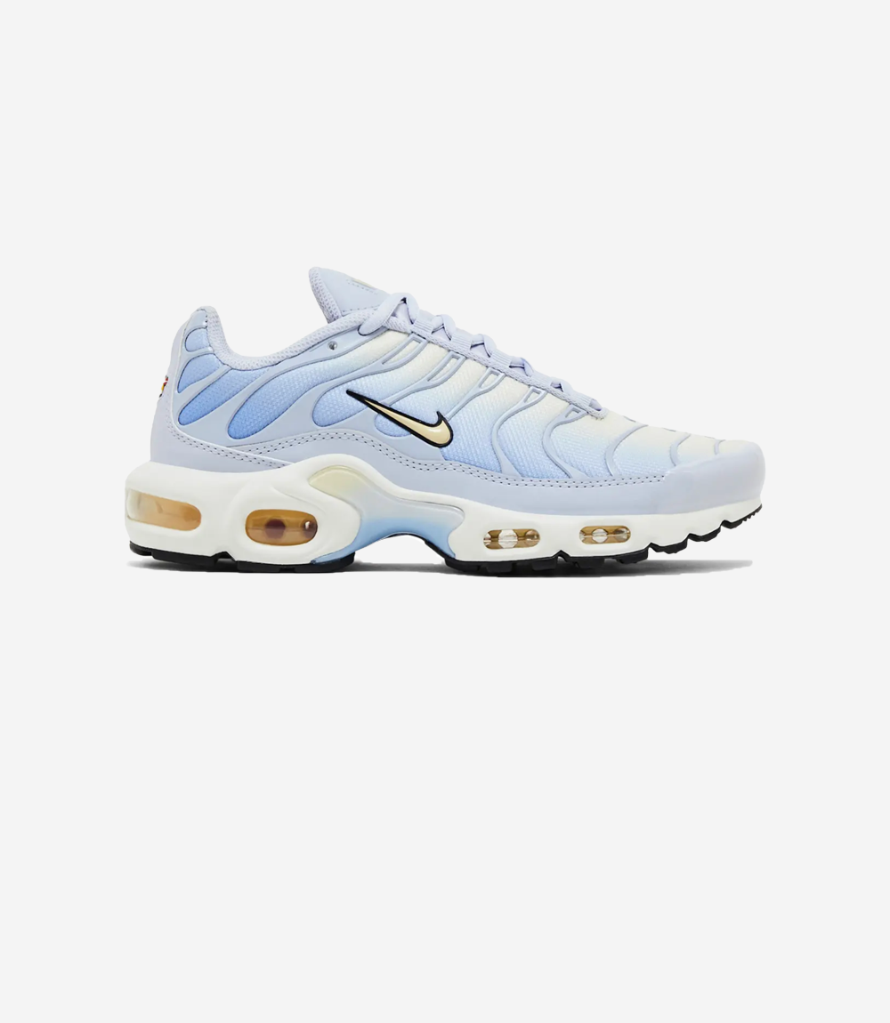 Nike Air Max Plus Daybreak (Women's) – wathe