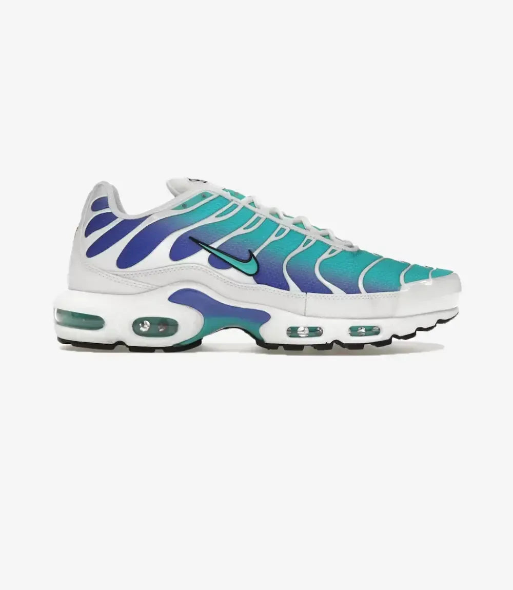 Nike Air Max Plus TN Aqua