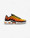 Nike Air Max Plus TN Sunset (2024)