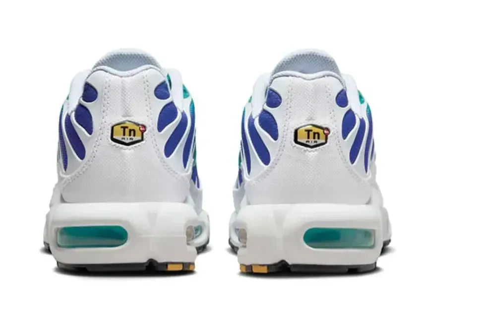 Nike Air Max Plus Aqua