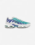 Nike Air Max Plus Aqua