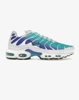 Nike Air Max Plus Aqua