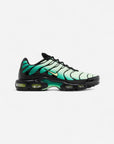 Nike Air Max Plus Vapor Green Malachite Black Light Lemon Twist