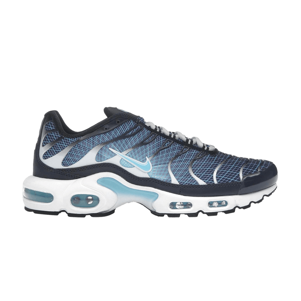 Nike Air Max Plus Dark Obsidian