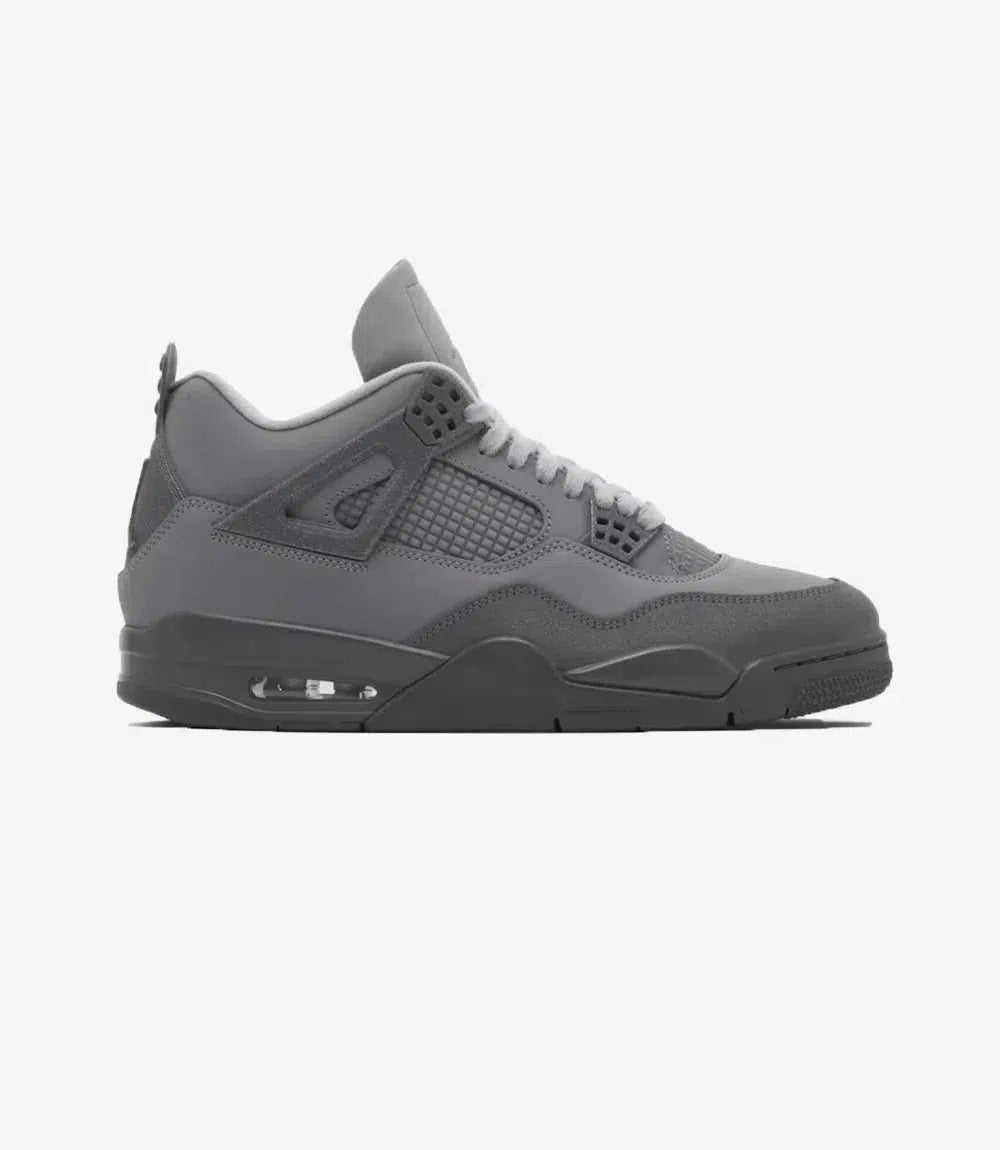 Air Jordan 4 Paris Olympics