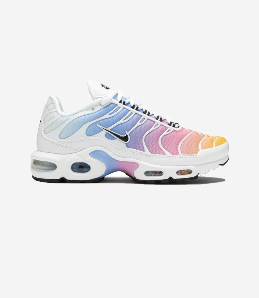 Nike Air Max Plus TN Summer Gradient