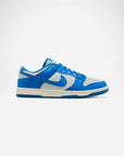 Nike Dunk Low Detroit Lions