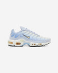 Nike Air Max Plus Daybreak (Women's)