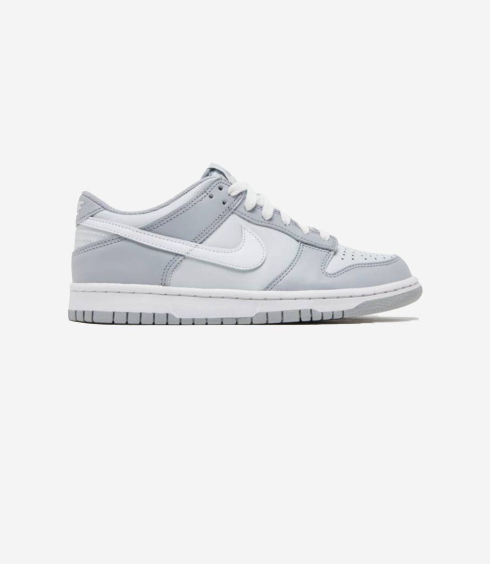 basket-sneakers-NIKE-Nike Dunk Low Two-Toned Grey (GS)-