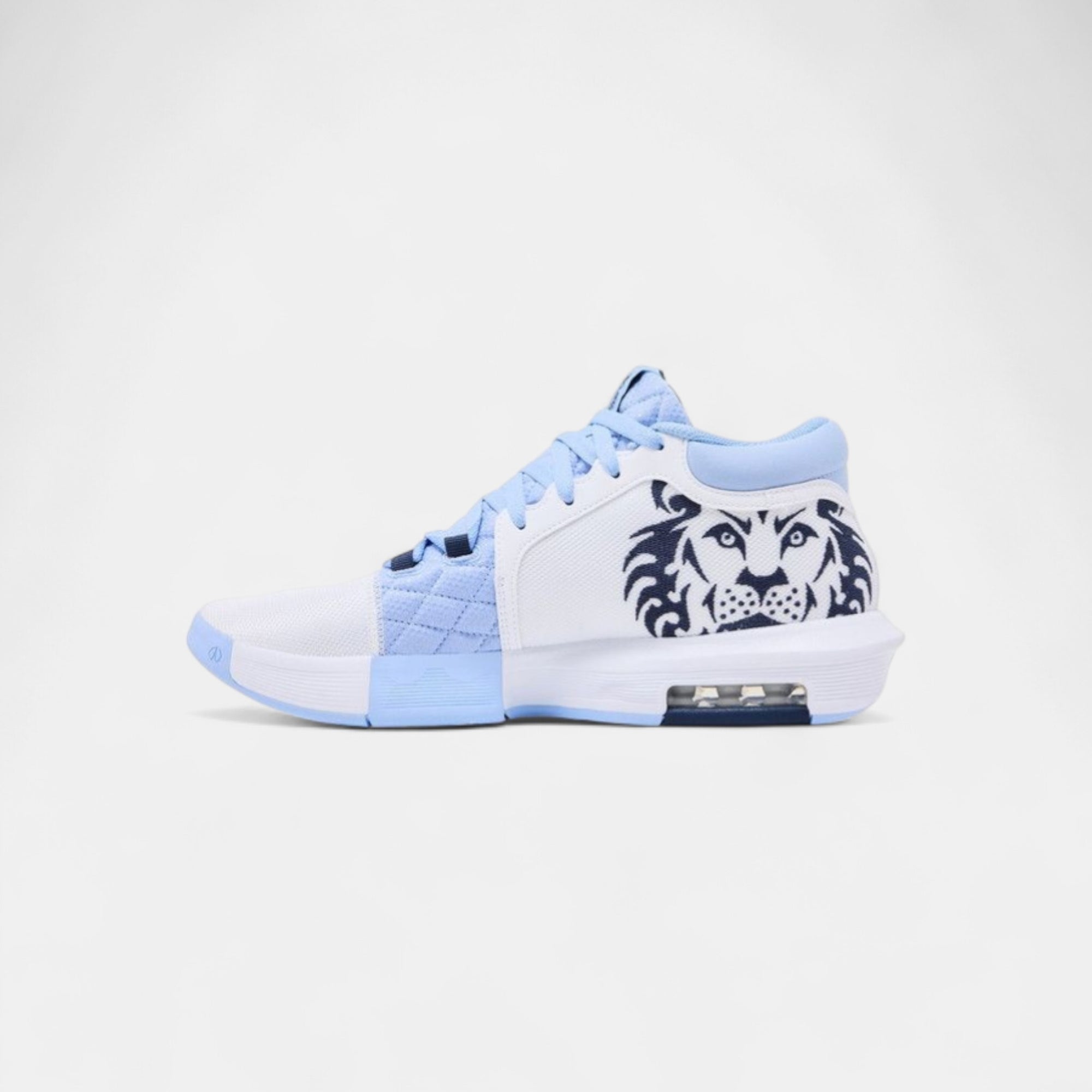 Nike LeBron Witness 8 UNC