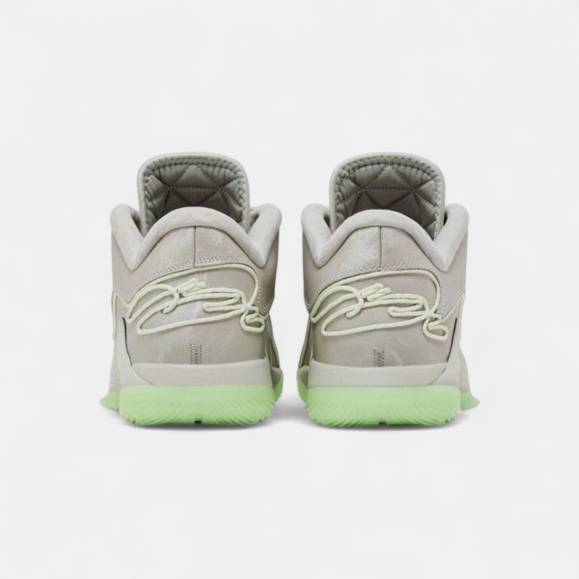 Nike LeBron 22 Dunkman (Translucent Outsole)