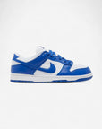 Nike Dunk Low SP Kentucky